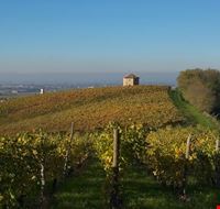 la_collina_del_sole_simbolo_della_montelio la_collina_del_sole_simbolo_della_montelio