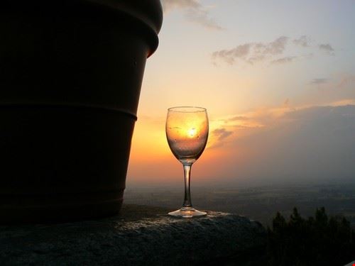 TRAMONTI DI..VINI: passeggiate al crepuscolo tra vini di qualità, natura e storia Codevilla