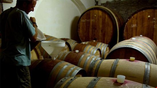 Vini e sapori nelle terre del castello di Stefanago Fortunago