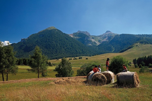 albe_in_malga