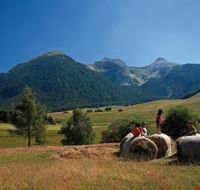 albe_in_malga albe_in_malga