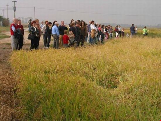 Festa del Nuovo Raccolto 10/a edizione Salussola
