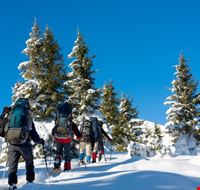 settimana_di_escursioni_con_le_ciaspole_gratuite settimana_di_escursioni_con_le_ciaspole_gratuite