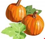 la_zucca la_zucca