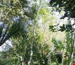 il_giardino_dei_ligustri_nella_veste_autunnale il_giardino_dei_ligustri_nella_veste_autunnale