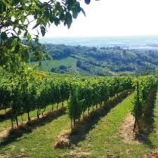 LEZIONI D'OLTREPO': a scuola di vino nelle cantine storiche Retorbido