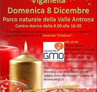 mercatini_di_natale mercatini_di_natale