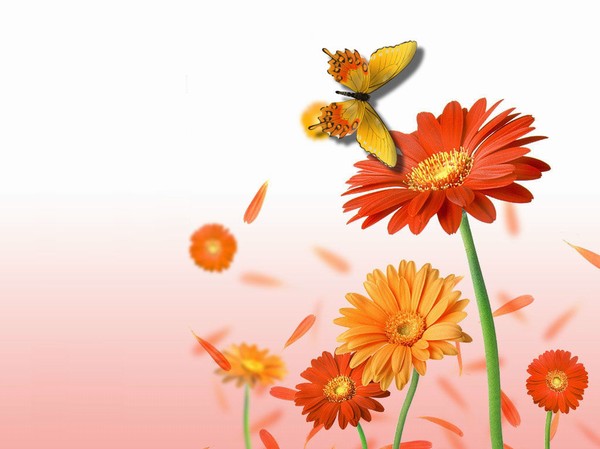 colori_e_profumi_di_primavera