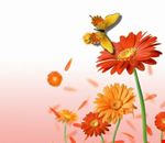 colori_e_profumi_di_primavera colori_e_profumi_di_primavera