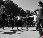sagra_piselli_e_fave_v_edizione sagra_piselli_e_fave_v_edizione
