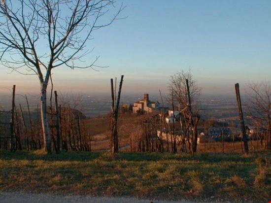 Tra Vino e Castelli Mornico Losana