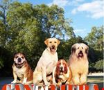 caninfiera caninfiera