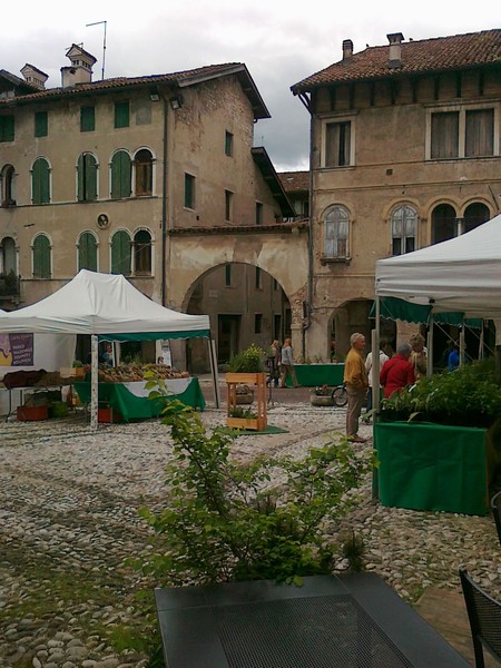 salute_alle_erbe_a_feltre