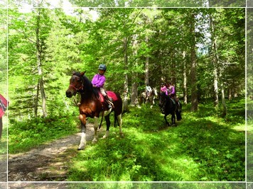 la_valle_dei_sentieri_a_cavallo