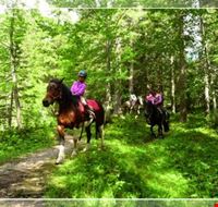 la_valle_dei_sentieri_a_cavallo la_valle_dei_sentieri_a_cavallo