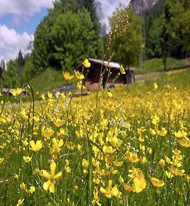 festa_delle_erbe_di_primavera