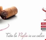 vino_e_musica vino_e_musica