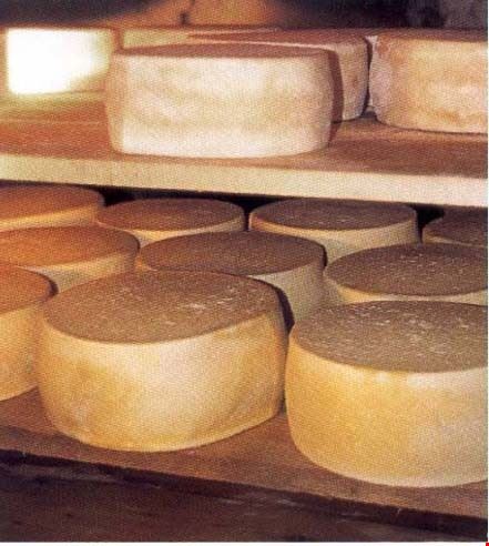 PASSEGGIATA GOLOSA ALL’EREMO DI S. ALBERTO E CASTELLI PERDUTI DI BUTRIO E PIZZOCORNO Ponte Nizza