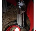 presepe_nel_pozzo__dettaglio presepe_nel_pozzo__dettaglio
