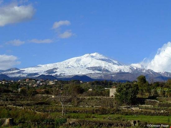 Sagra dell'Iris Tremestieri Etneo