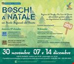 boschi_a_natale boschi_a_natale