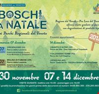 boschi_a_natale boschi_a_natale