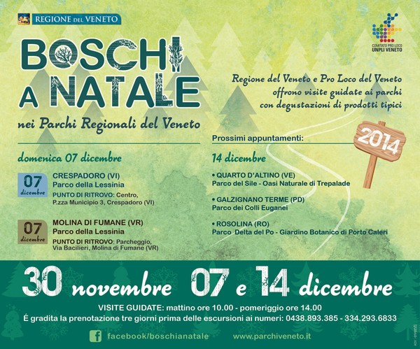 boschi_a_natale