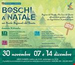 boschi_a_natale boschi_a_natale