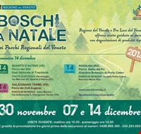 boschi_a_natale boschi_a_natale