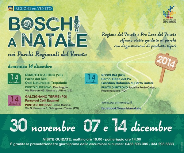 boschi_a_natale
