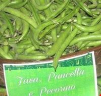 sagra_piselli_e_fave_vi_edizione sagra_piselli_e_fave_vi_edizione