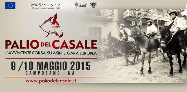 l_avvincente_corsa_su_asini
