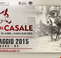 l_avvincente_corsa_su_asini l_avvincente_corsa_su_asini