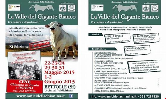 La Valle del Gigante Bianco - Edizione 2015 Sinalunga