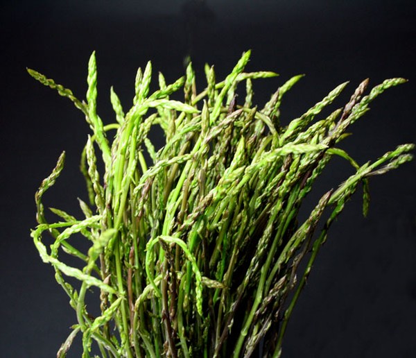 sagra_degli_asparagi