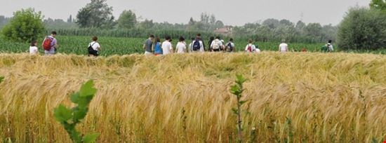 13ª Camminata del Draghetto e 9ª Festa dei Bambini Breda di Piave