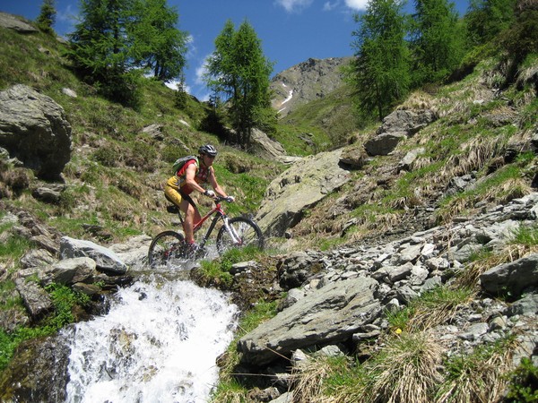 bici_val_visdende