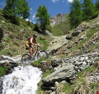 bici_val_visdende bici_val_visdende