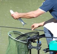 gara_di_pesca gara_di_pesca