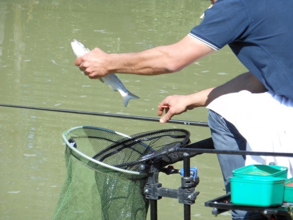 gara_di_pesca