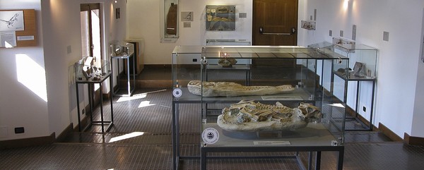 museo_danta