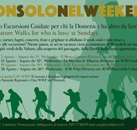 locandina_trekking_infra-settimanale_per_4_mercoledi_in_agosto locandina_trekking_infra-settimanale_per_4_mercoledi_in_agosto