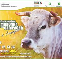 wwwmadonnadellacampagnaseregnocom wwwmadonnadellacampagnaseregnocom