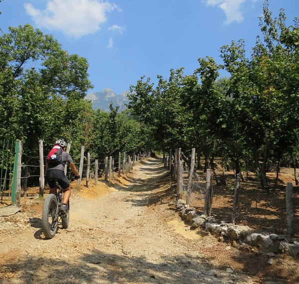 bici_sapori_e_natura