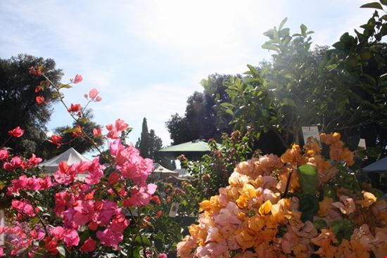 Perugia Flower Show - Winter Editiion 2015 Perugia