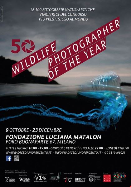 Wildlife Photographer of the Year 50a edizione Milano