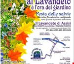 cosa__fare_ad_assisi_a_san_francesco cosa__fare_ad_assisi_a_san_francesco