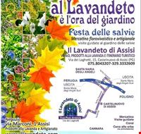 cosa__fare_ad_assisi_a_san_francesco cosa__fare_ad_assisi_a_san_francesco