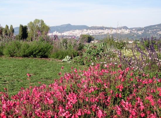 Al Lavandeto è l'ora del giardino. Mostra di florovivaismo e festa delle salvie Assisi