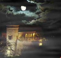 halloween halloween